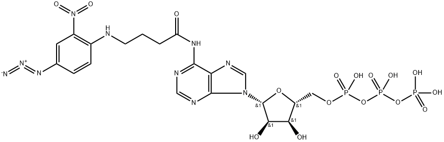 N-4-아지도-2-니트로페닐-감마-아미노부티릴-ATP 구조식 이미지