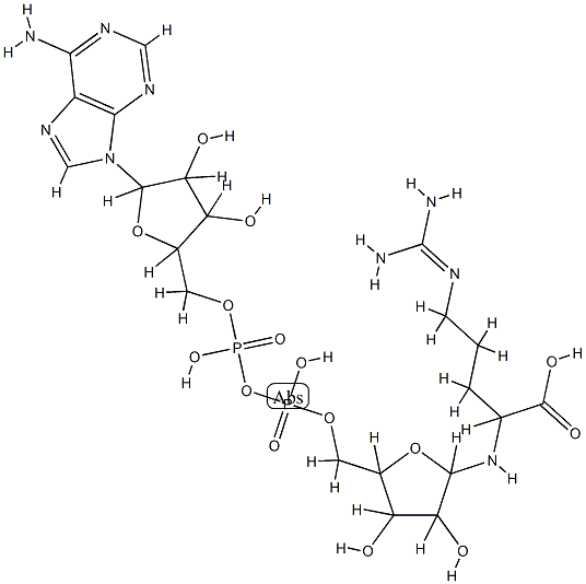 ADP-리보실아르기닌 구조식 이미지