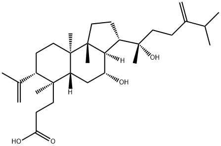 12β,20-Dihydroxy-24-methylene-3,4-seco-5α-dammara-4(28)-ene-3-oic acid 구조식 이미지