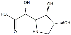 2-Pyrrolidineaceticacid,-alpha-,3,4-trihydroxy-,[2R-[2-alpha-(S*),3-bta-,4-bta-]]-(9CI) 구조식 이미지