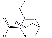 1-Azabicyclo[3.2.1]oct-3-ene-2-carboxylicacid,3-methoxy-7-oxo-,(1R,2S,5R)-rel-(9CI) 구조식 이미지