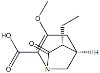 1-Azabicyclo[3.2.1]oct-2-ene-2-carboxylicacid,6-ethyl-3-methoxy-7-oxo-,(1R,5S,6S)-rel-(9CI) 구조식 이미지