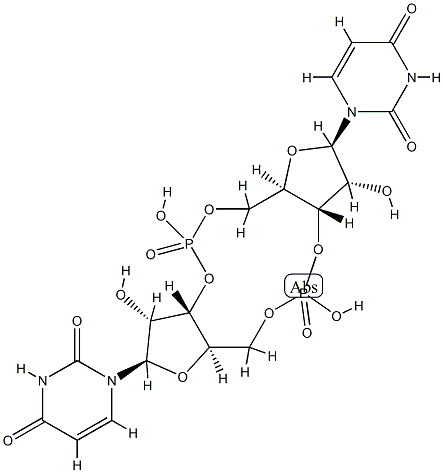 bis(3'-5')cyclic diuridine monophosphate Structure