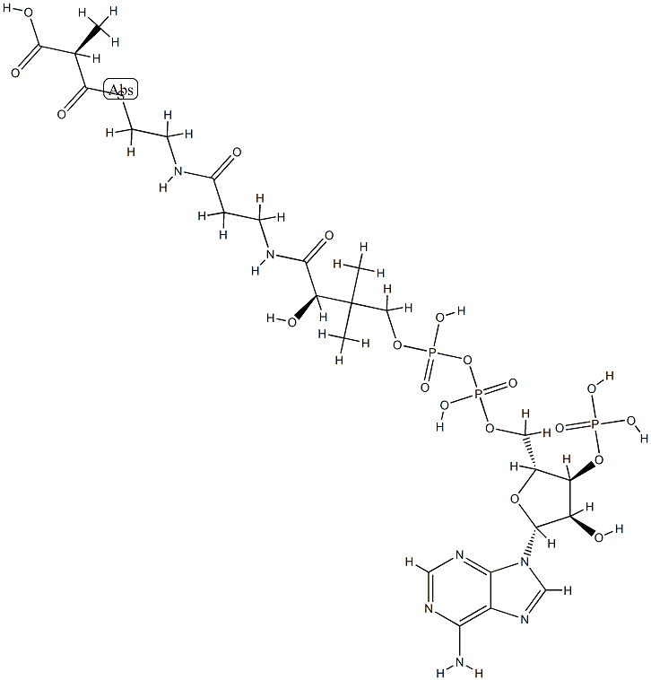 R-Methylmalonyl-CoA Structure