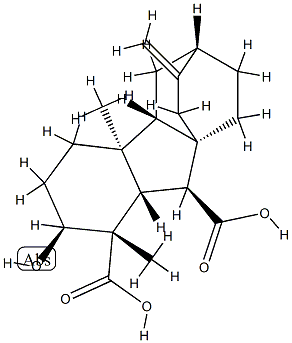 (1S,4bS,9aS)-Dodecahydro-2β-hydroxy-1,4aα-dimethyl-7-methylene-6α,8aα-ethano-8aH-fluorene-1,9β-dicarboxylic acid 구조식 이미지