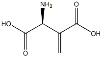 beta-methyleneaspartate Structure