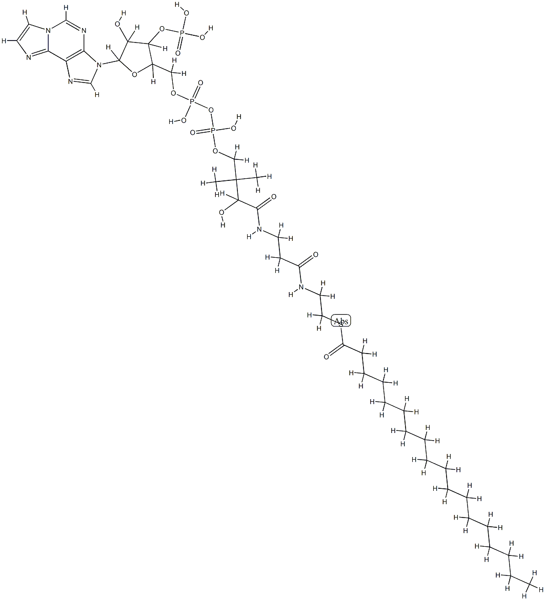 stearoyl-(1,N(6))-etheno-coenzyme A Structure