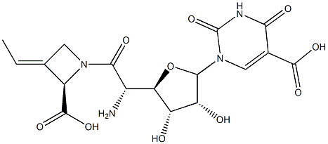 1-[5-Amino-6-[(2S,E)-2-carboxy-3-ethylidene-1-azetidinyl]-5-deoxy-β-D-allo-hexodialdo-1,4-furanosyl]-1,2,3,4-tetrahydro-2,4-dioxo-5-pyrimidinecarboxylic acid 구조식 이미지