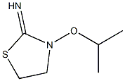 2-Thiazolidinimine,3-(1-methylethoxy)-(9CI) Structure