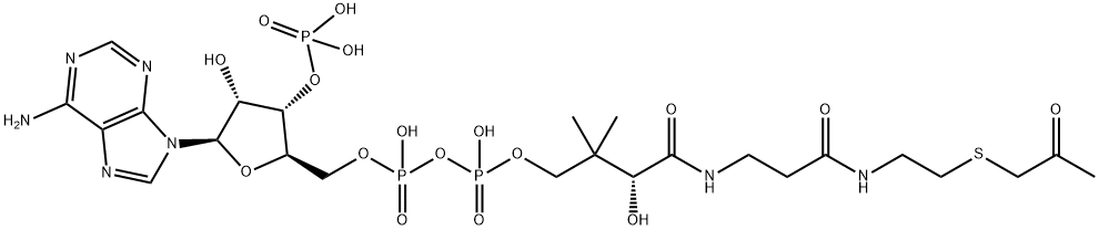 acetonyl-coenzyme A Structure