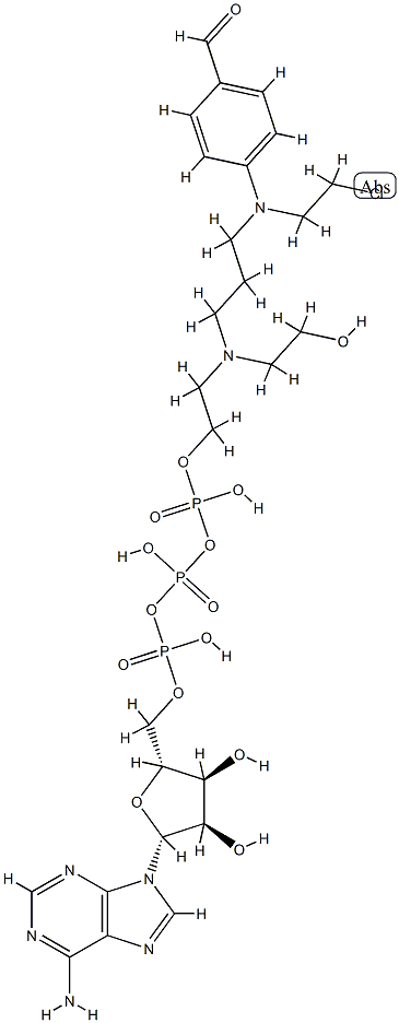 ClRpppA 구조식 이미지