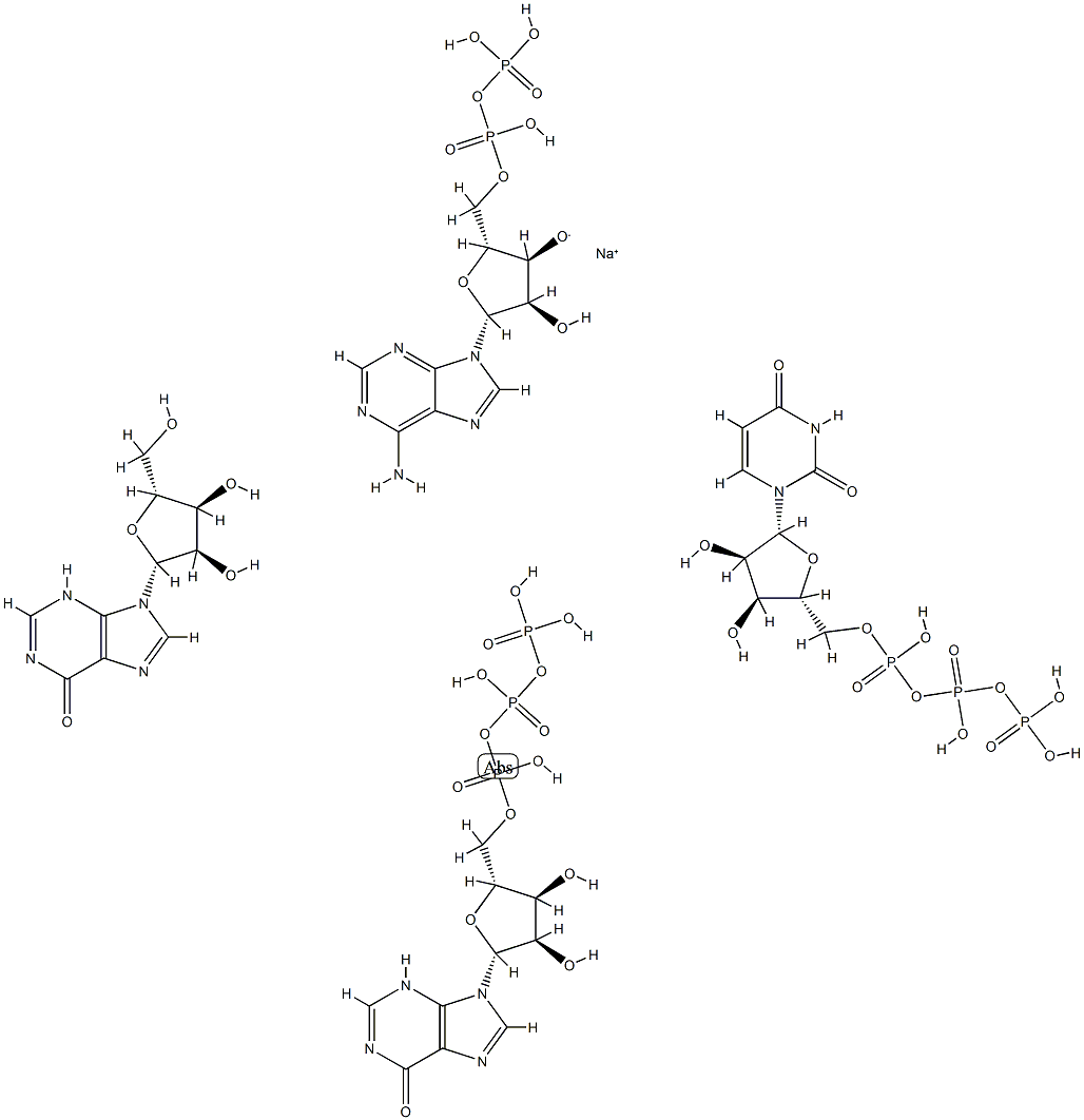 sodium, (2R,3R,4R,5R)-5-(6-aminopurin-9-yl)-4-hydroxy-2-[(hydroxy-phos phonooxy-phosphoryl)oxymethyl]oxolan-3-olate, 9-[(2R,3R,4R,5R)-3,4-dih ydroxy-5-(hydroxymethyl)oxolan-2-yl]-3H-purin-6-one, [[[(2R,3R,4R,5R)- 3,4-dihydroxy-5-(6-oxo-3H-purin-9-yl)oxolan-2-yl]methoxy-hydroxy-phosp horyl]oxy-hydroxy-phosphoryl]oxyphosphonic acid, [[[(2R,3R,4R,5R)-5-(2 ,4-dioxopyrimidin-1-yl)-3,4-dihydroxy-oxolan-2-yl]methoxy-hydroxy-phos phoryl]oxy-hydroxy-phosphoryl]oxyphosphonic acid 구조식 이미지