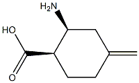 시클로헥산카르복실산,2-아미노-4-메틸렌-,(1R,2S)-rel-(9CI) 구조식 이미지
