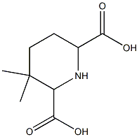 2,6-피페리딘디카르복실산,3,3-디메틸-(9CI) 구조식 이미지