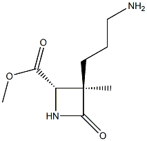 2-Azetidinecarboxylicacid,3-(3-aminopropyl)-3-methyl-4-oxo-,methylester,(2R,3S)-rel-(9CI) Structure