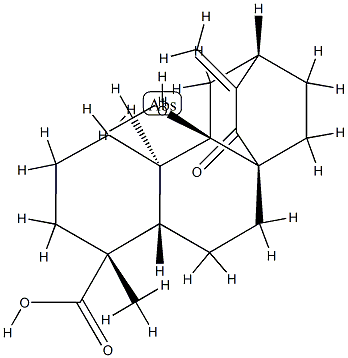 (4R,5β,8α,9β,10α,12α)-9-Hydroxy-15-oxoatis-16-en-18-oic acid 구조식 이미지