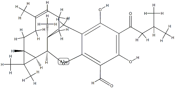 Euglobal VII Structure