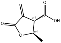 3-Furancarboxylicacid,tetrahydro-2-methyl-4-methylene-5-oxo-,(2R,3S)-rel-(9CI) Structure