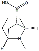 8-Azabicyclo[3.2.1]octane-6-carboxylicacid,8-methyl-,(1R,5S,6R)-rel-(9CI) Structure
