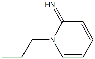 2(1H)-Pyridinimine,1-propyl-(9CI) Structure