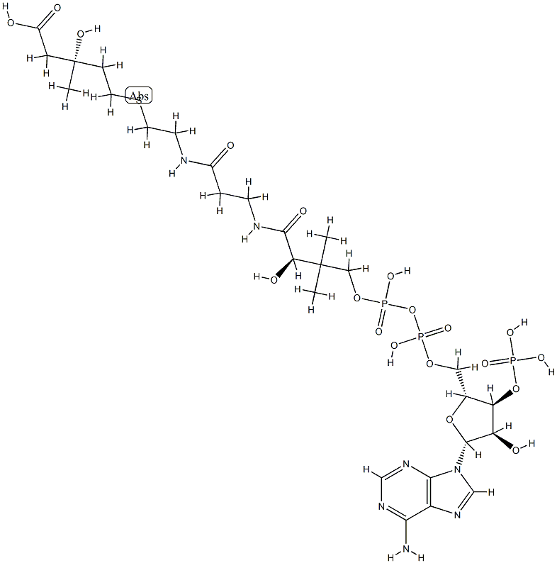 3-hydroxy-3-methyl-4-carboxybutyl-coenzyme A Structure