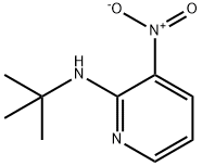 N-tert-butyl-3-nitropyridin-2-amine 구조식 이미지