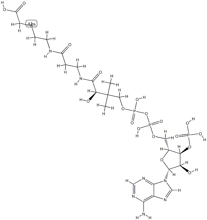 carboxymethyl-coenzyme A Structure