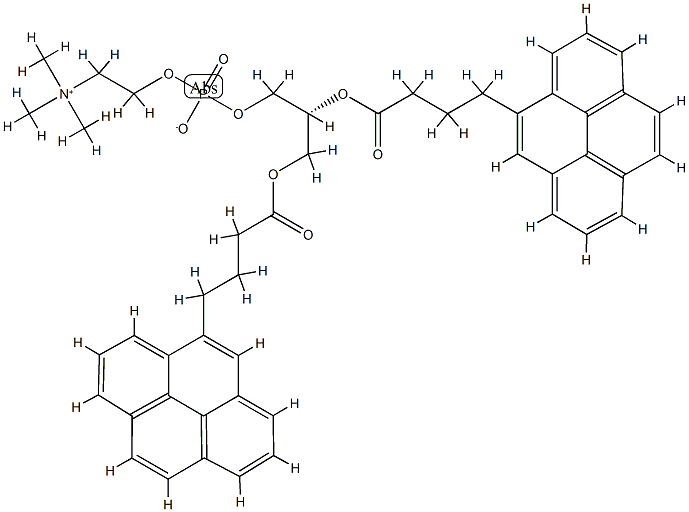 1,2-bis(4-(1-pyreno)butanoyl)-sn-glycero-3-phosphorylcholine Structure