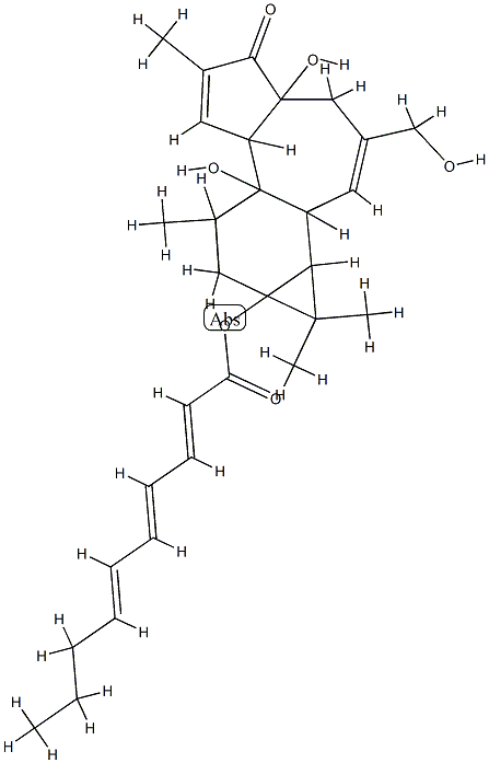 12-데옥시포르볼-13-(2,4,6-데카트리에네이트) 구조식 이미지