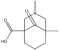 3-Azabicyclo[3.3.1]nonane-1-carboxylicacid,3,5-dimethyl-9-oxo-(9CI) 구조식 이미지