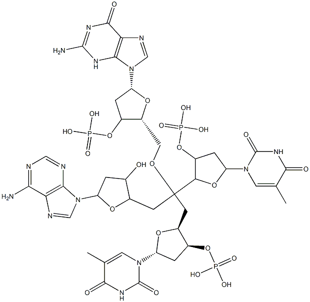 2'-deoxyadenylyl(3'-5')thymidylyl(3'-5')deoxyguanosylyl(3'-5')thymidine Structure