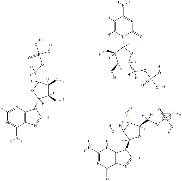 poly(G,A).poly(C) Structure