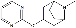 8-Azabicyclo[3.2.1]octane,8-methyl-3-(2-pyrimidinyloxy)-(9CI) 구조식 이미지