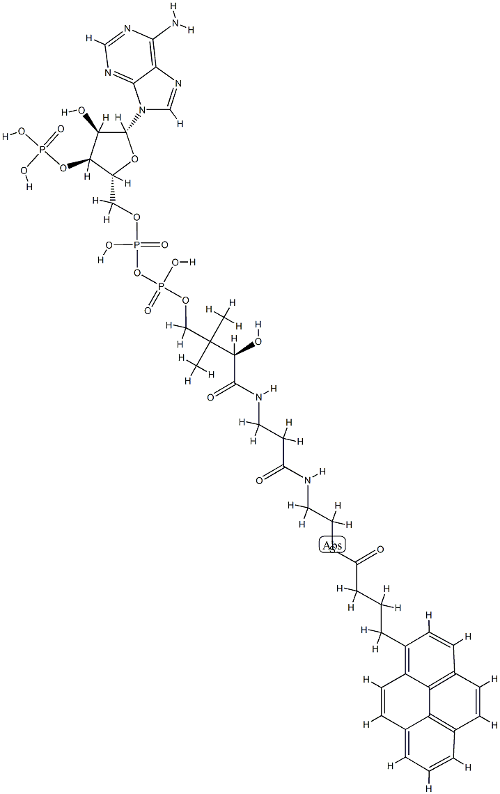 1-pyrenebutyryl-coenzyme A 구조식 이미지