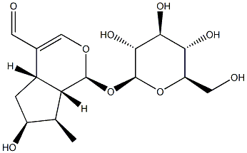 (1S)-1α-(β-D-Glucopyranosyloxy)-1,4aα,5,6,7,7aα-hexahydro-6α-hydroxy-7α-methylcyclopenta[c]pyran-4-carbaldehyde 구조식 이미지