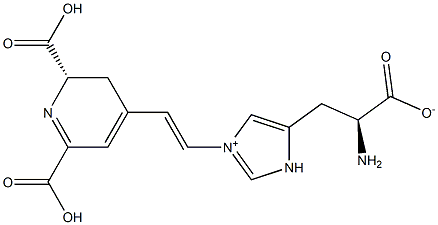 Musca-aurin VII Structure