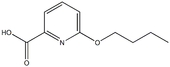 2-Pyridinecarboxylicacid,6-butoxy-(9CI) Structure