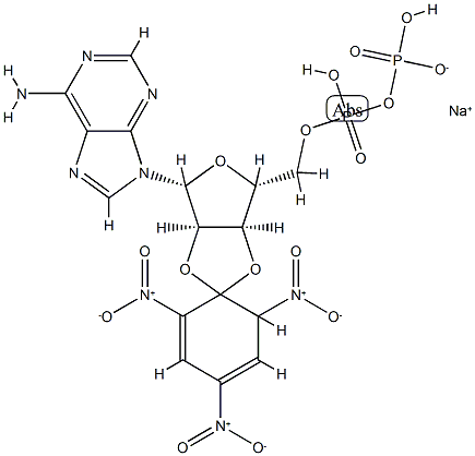 2',3'-(O-(2,4,6-trinitrocyclohexadienylidine))adenosine 5'-diphosphate 구조식 이미지