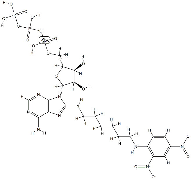 8-(2,4-dinitrophenyl-2,6-aminohexyl)aminoadenosine 5'-triphosphate 구조식 이미지