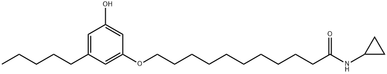 CB-25 Structure