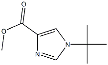 methyl 1-tert-butyl-1H-imidazole-4-carboxylate 구조식 이미지