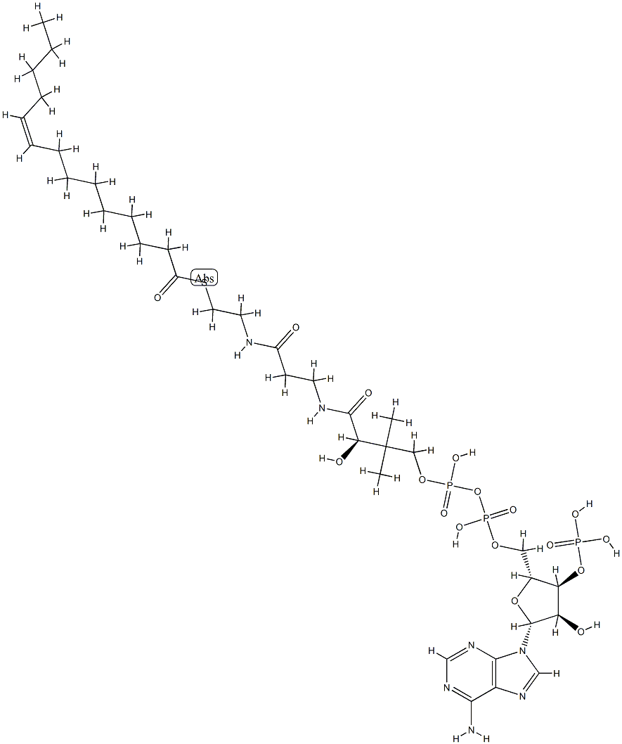 코엔자임A미리스톨레오일유도체(C14:1),리튬염 구조식 이미지