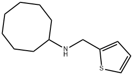 N-(thiophen-2-ylmethyl)cyclooctanamine Structure