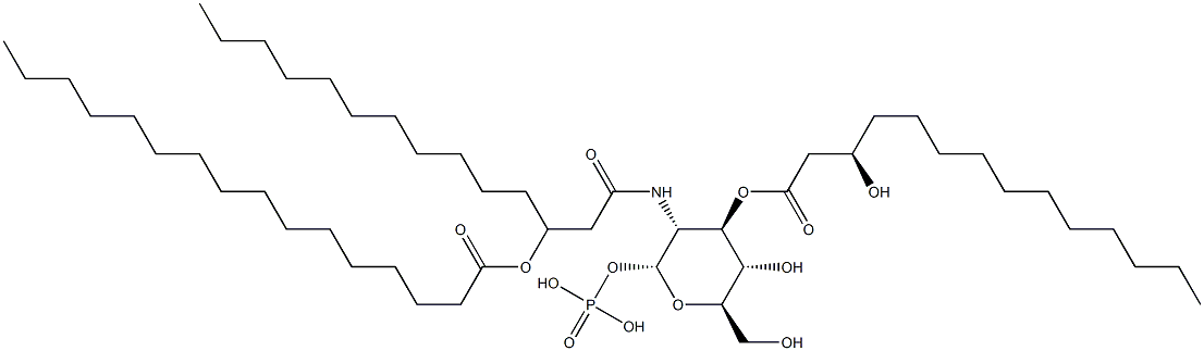 lipid Y Structure
