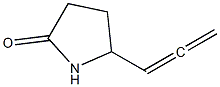 2-Pyrrolidinone,5-(1,2-propadienyl)-(9CI) Structure