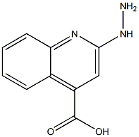 4-Quinolinecarboxylicacid,2-hydrazino-(9CI) Structure