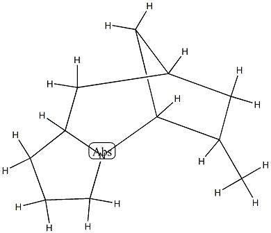 5,8-Methano-1H-pyrrolo[1,2-a]azepine,octahydro-6-methyl-(9CI) 구조식 이미지