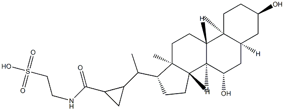 3,7-디히드록시-22,23-메틸렌-콜란-24-오산(2-술포에틸)아미드 구조식 이미지