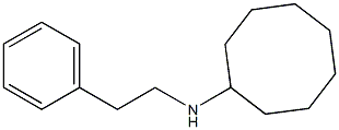 N-(2-phenylethyl)cyclooctanamine 구조식 이미지