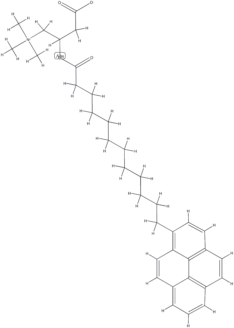 pyrenedodecanoylcarnitine Structure